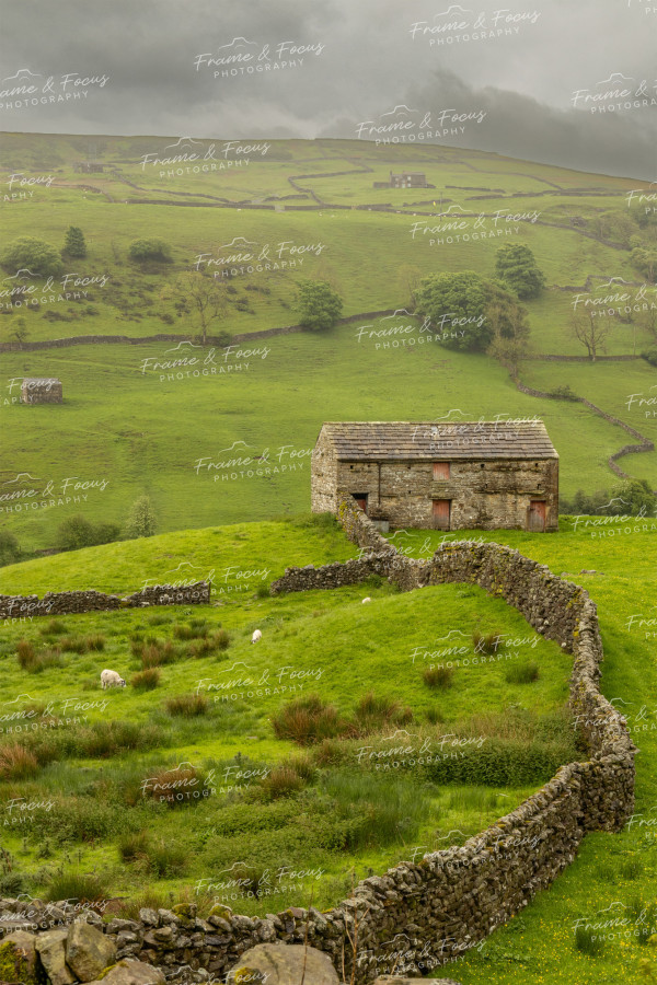 To buy a print or any of the below please click on the images